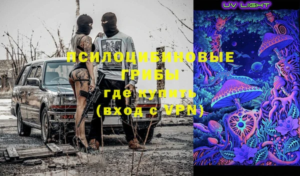 гидра Верея
