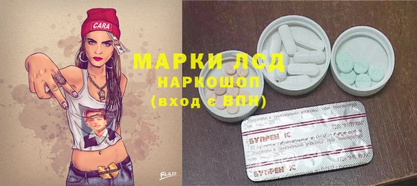 гидра Верея