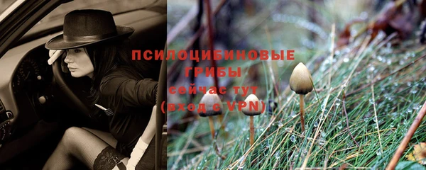 спиды Бугульма