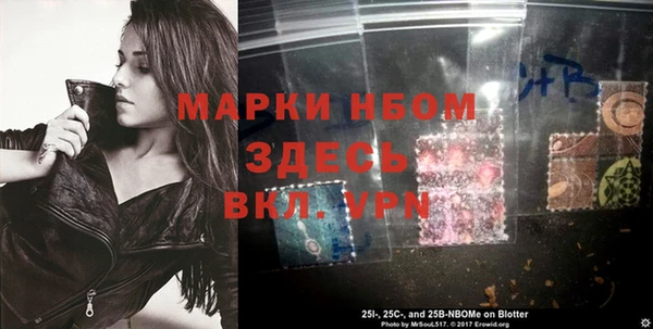 гидра Верея