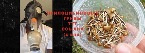ГАЛЛЮЦИНОГЕННЫЕ ГРИБЫ Верхний Тагил